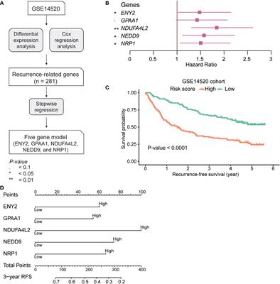 Integrated multi-omics analysis identifies ENY2 as a predictor of recurrence and a regulator of telomere maintenance in hepatocellular carcinoma